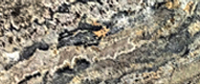 Delicatus Move Granite