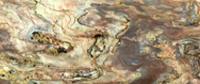 Fusion Quartzite