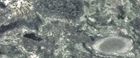 Verde Rey Granite