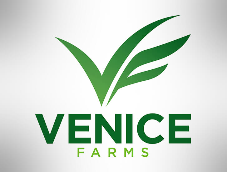 Cannabis Company Logo + Brochure Design / Venice Farms